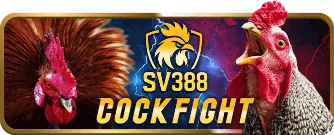 Tỷ lệ thắng cao và jackpot lớn